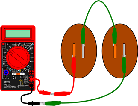 Veggie Power 2 In Series - Wire A Potato Battery (462x500)