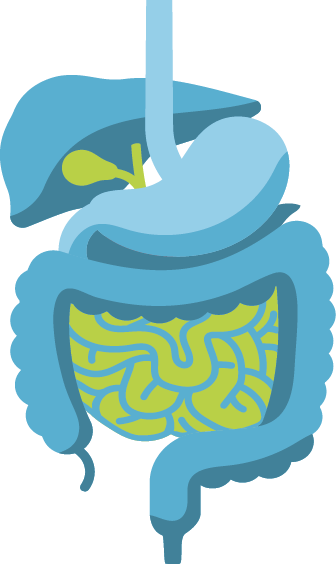 Life With A Gi Disorder - Illustration (336x564)