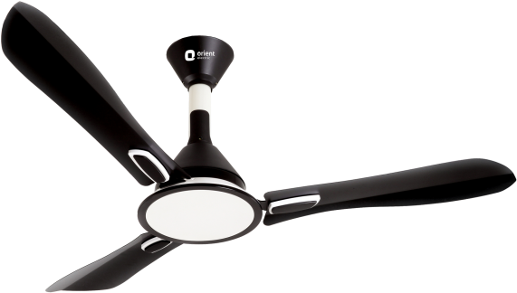 Fan Images Black And White (650x500)