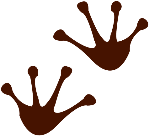 Svg Freeuse Library Feet Vector Chicken - Frog Footprint Png (512x512)