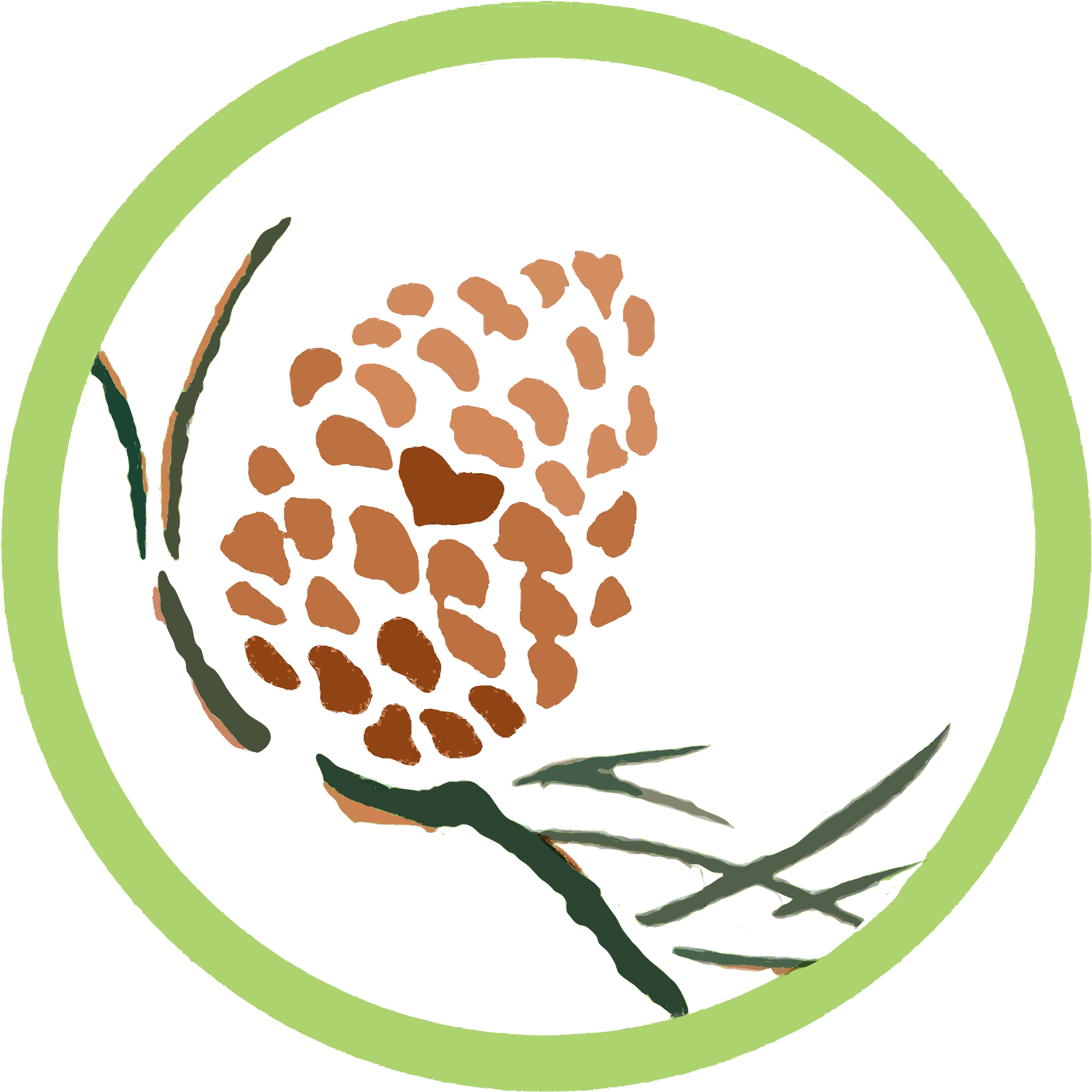 Heart Pine Waldorf School - Heart Pine Waldorf School (3600x3597)