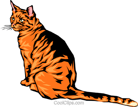 Cool Looking Cat Royalty Free Vector Clip Art Illustration - Bengal Tiger (480x371)