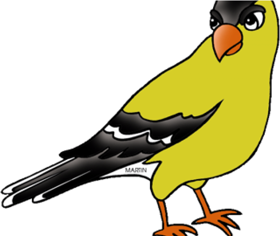 Goldfinch Clipart Nj State Bird - Iowa State Bird Cartoon (640x480)