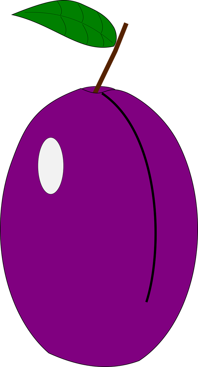 Plum Vitamin Nature - Circle (690x1280)