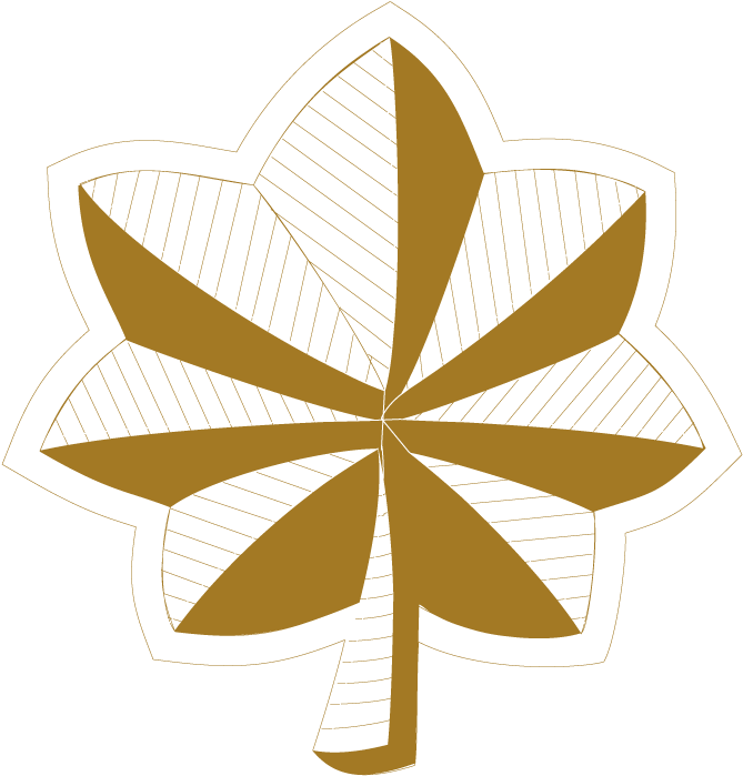 Milart Com United States Lieutenant Commander Ⓒ - Illustration (800x800)