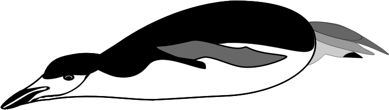 Clipart - Diving Pinguin - Diving Penguin Clipart (800x800)