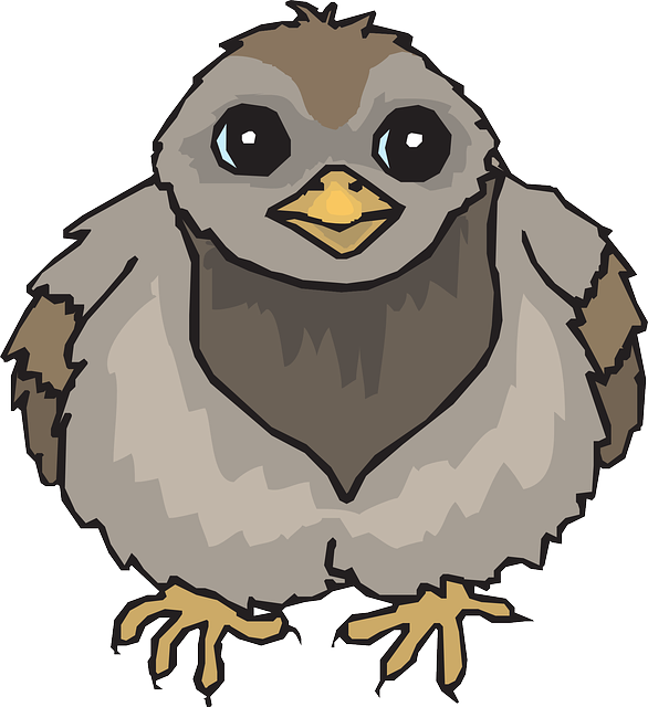 Baby Pigeon Clipart (586x640)