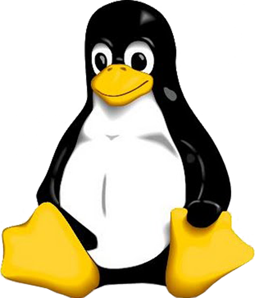 Penguin Image - Linux Logo Png (877x1024)