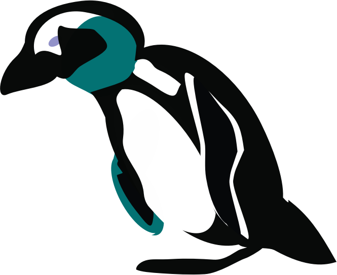 Pinguin Downhill Clipart Icon Png - Portable Network Graphics (800x600)