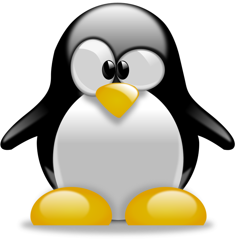 Base Clip Art Download - Pinguino De Tux Typing (800x800)