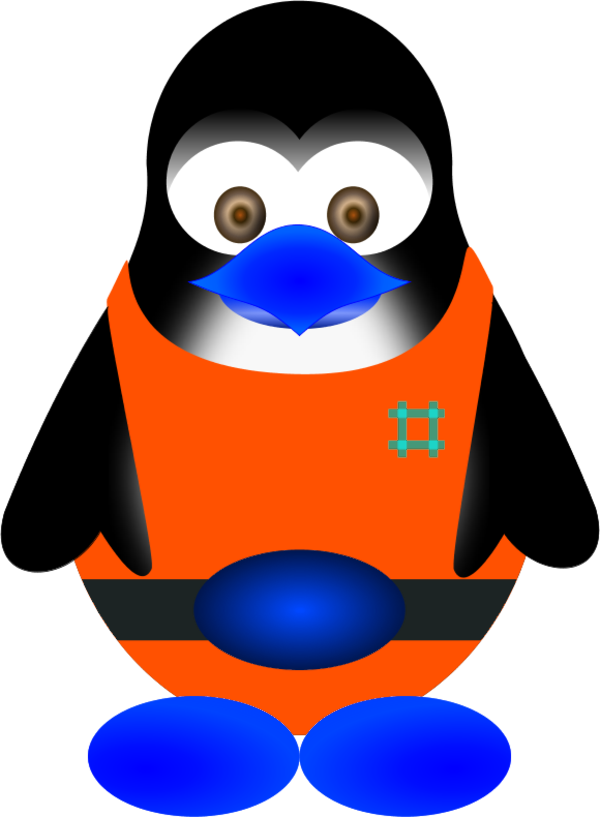 Cartoon Penguin Picture - Penguin Clip Art (600x817)
