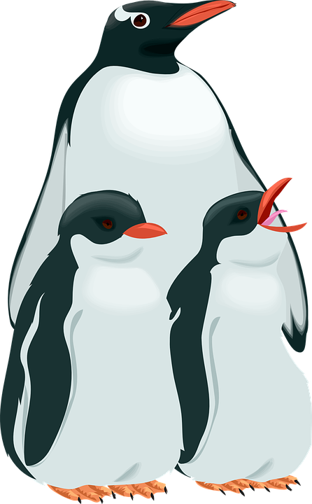 Family Penguin, Birds, Snow, Children, Parent, Cold, - Custom Penguin Family Shower Curtain (446x720)