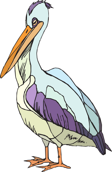 Colorful Pelican Clip Art At Pictures Png Images - Pelican Clipart Transparent (417x640)