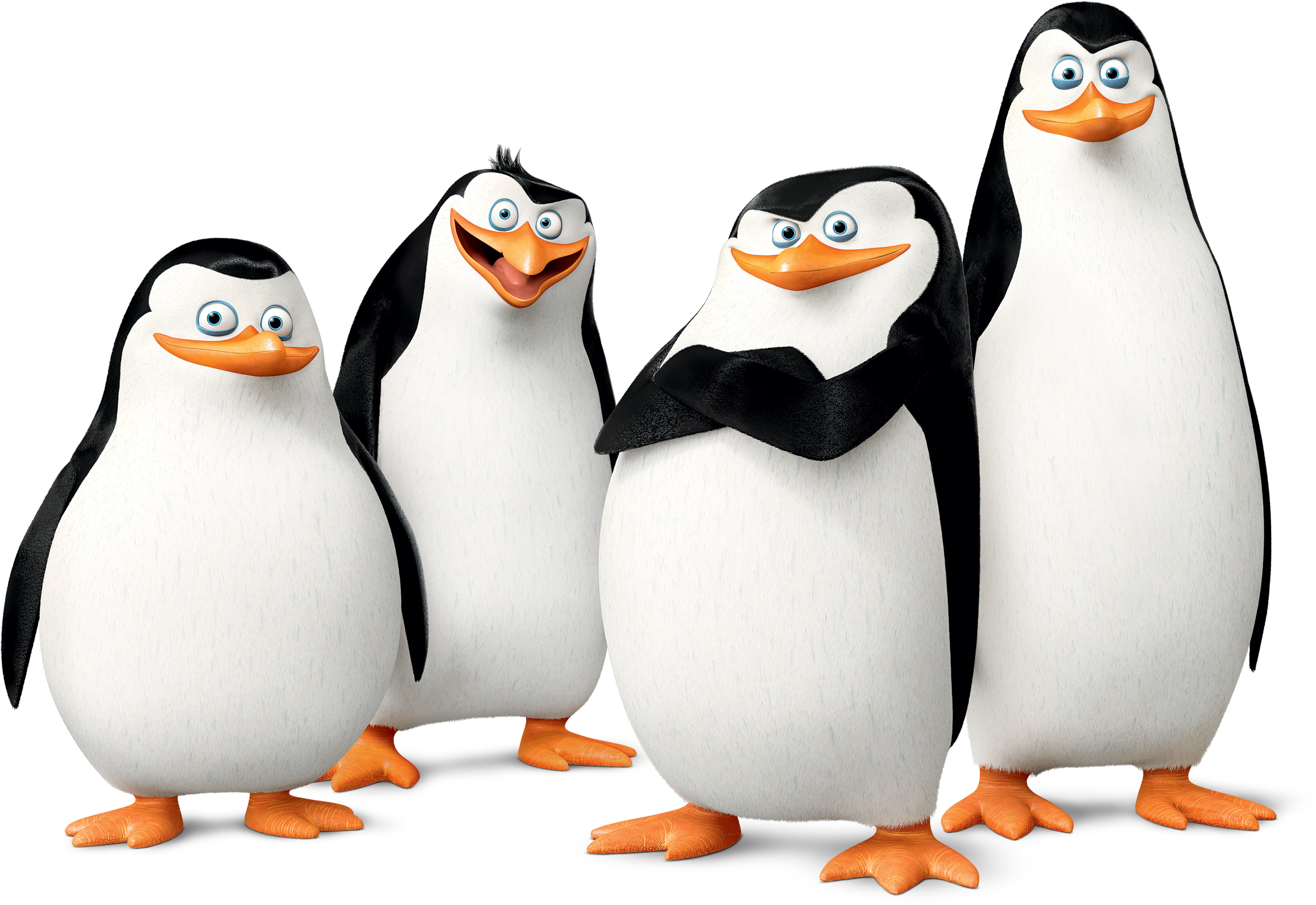 Penguins Of Madagascar Wikia (2500x1642)