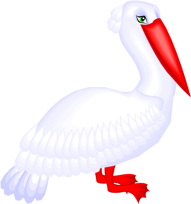Cute Pelican - Pelicans (697x750)