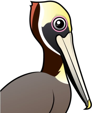 About The Brown Pelican - Kundengerechter Pelikan Fls Brown Grußkarte (440x440)