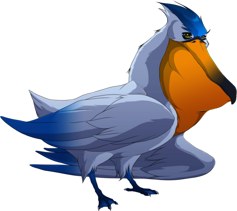 2175 Monster Pelican Www - Steller S Jay (800x713)