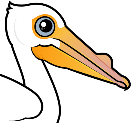 About The American White Pelican - American White Pelican (440x440)