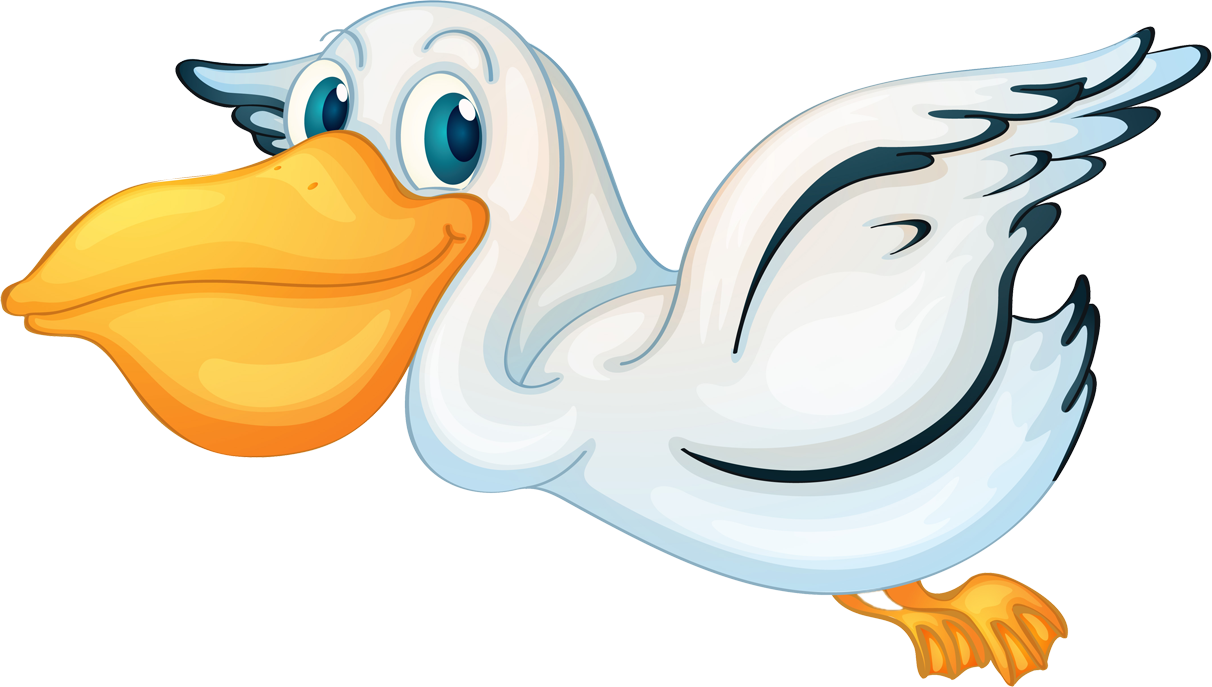 Pelican Png - Different Types Of Birds Cartoon (1212x687)