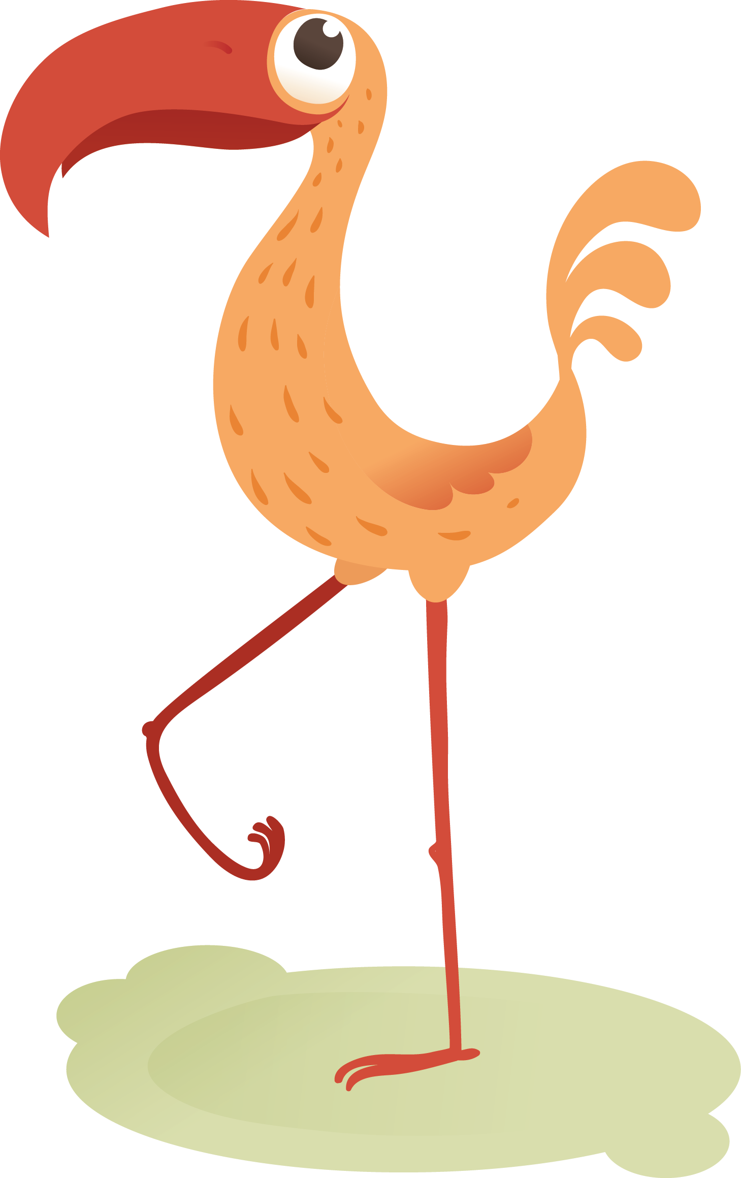 Bird Pelican Flamingo Icon - Bird Pelican Flamingo Icon (1459x2319)