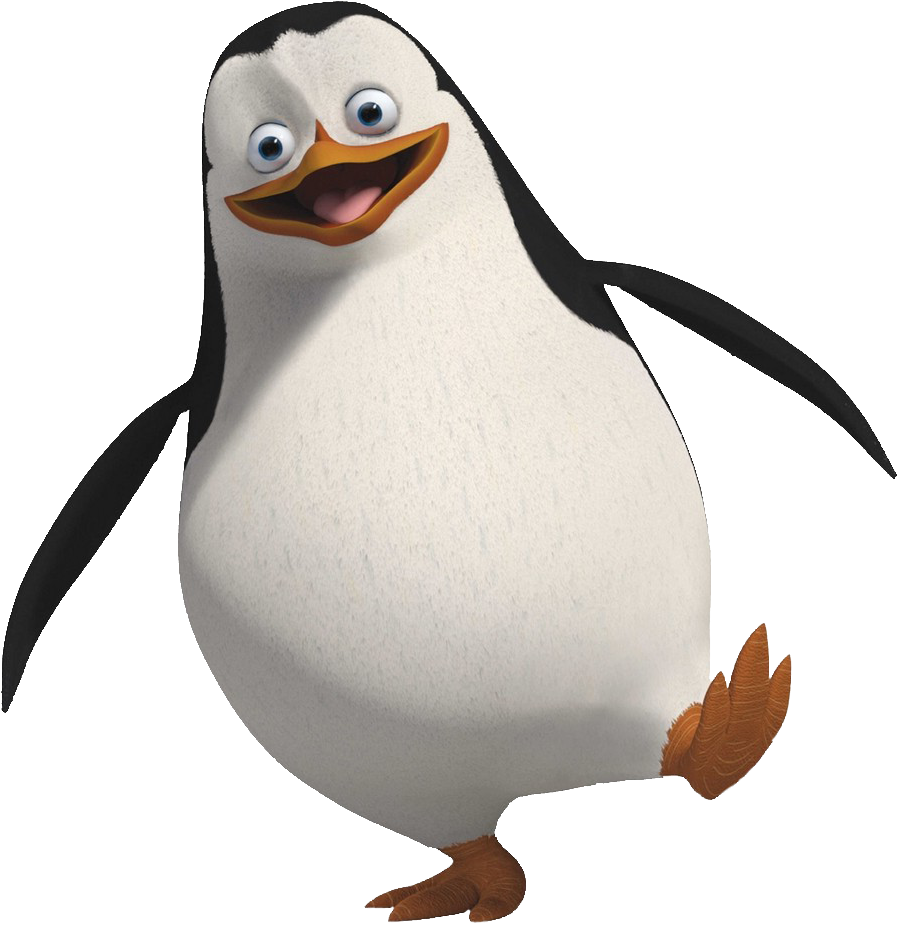 Animals - Madagascar Penguin Png (1002x960)