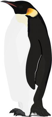 Penguin - Penguin Transparent Background (600x520)