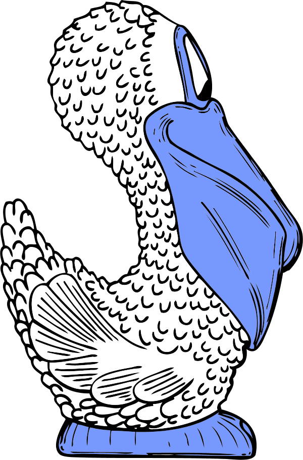 Bird Pelican Comic Cartoon - Cartoon Pelican Shower Curtain (600x911)