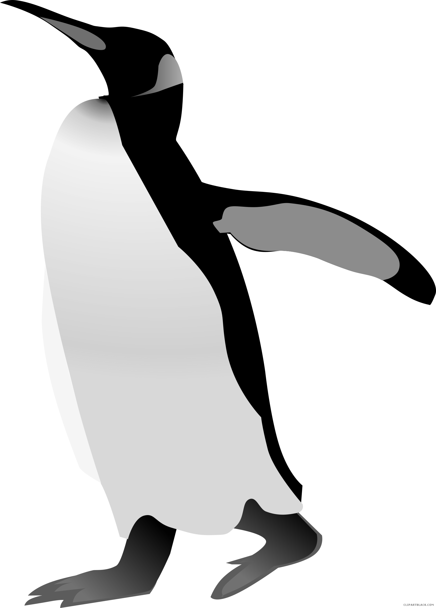 Emperor Penguin Animal Free Black White Clipart Images - Custom Cartoon Penguin Throw Blanket (1793x2500)