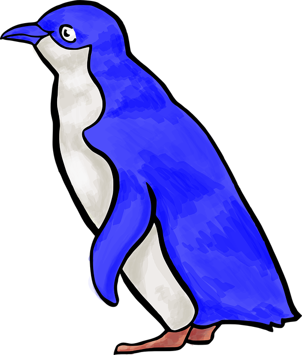 Download Penguins Png Transparent Images Transparent - Draw A Little Blue Penguin (613x720)