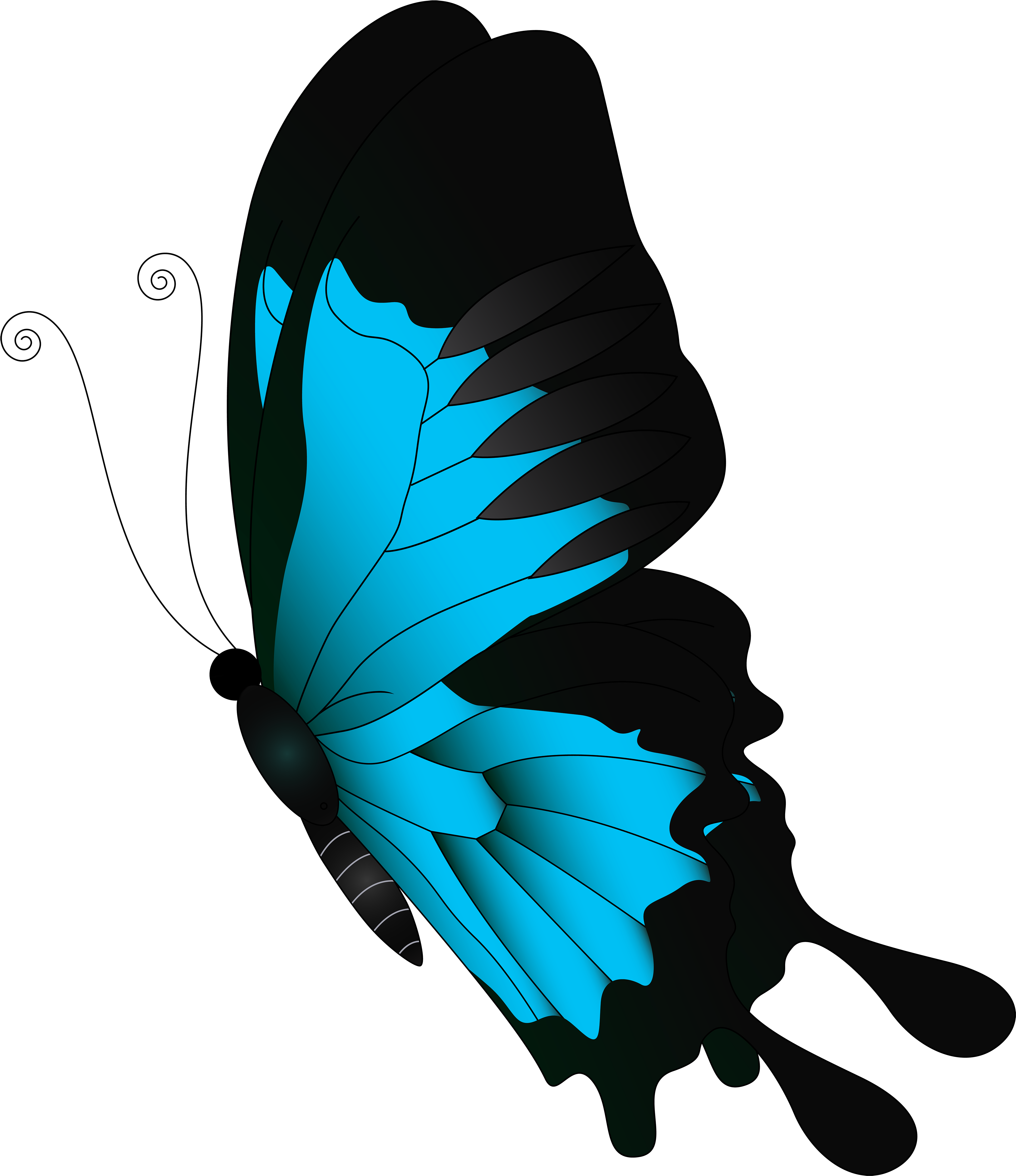 Butterfly Desktop Wallpaper Clip Art - Red Butterfly Clipart (4323x5000)
