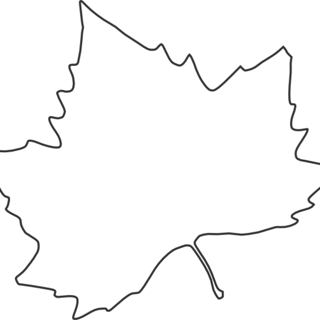 Leaf Outline Printable Clip Art For Leaves Leaf Outline - Clip Art (1024x1024)