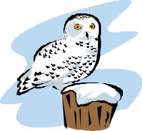 Snowy Owl Clipart Cool Cartoon - Snowy Owl Arctic Cartoon (486x448)
