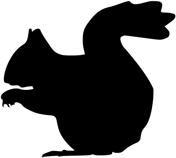Squirrel Doorzichtig - Squirrel Silhouette Clip Art (642x574)