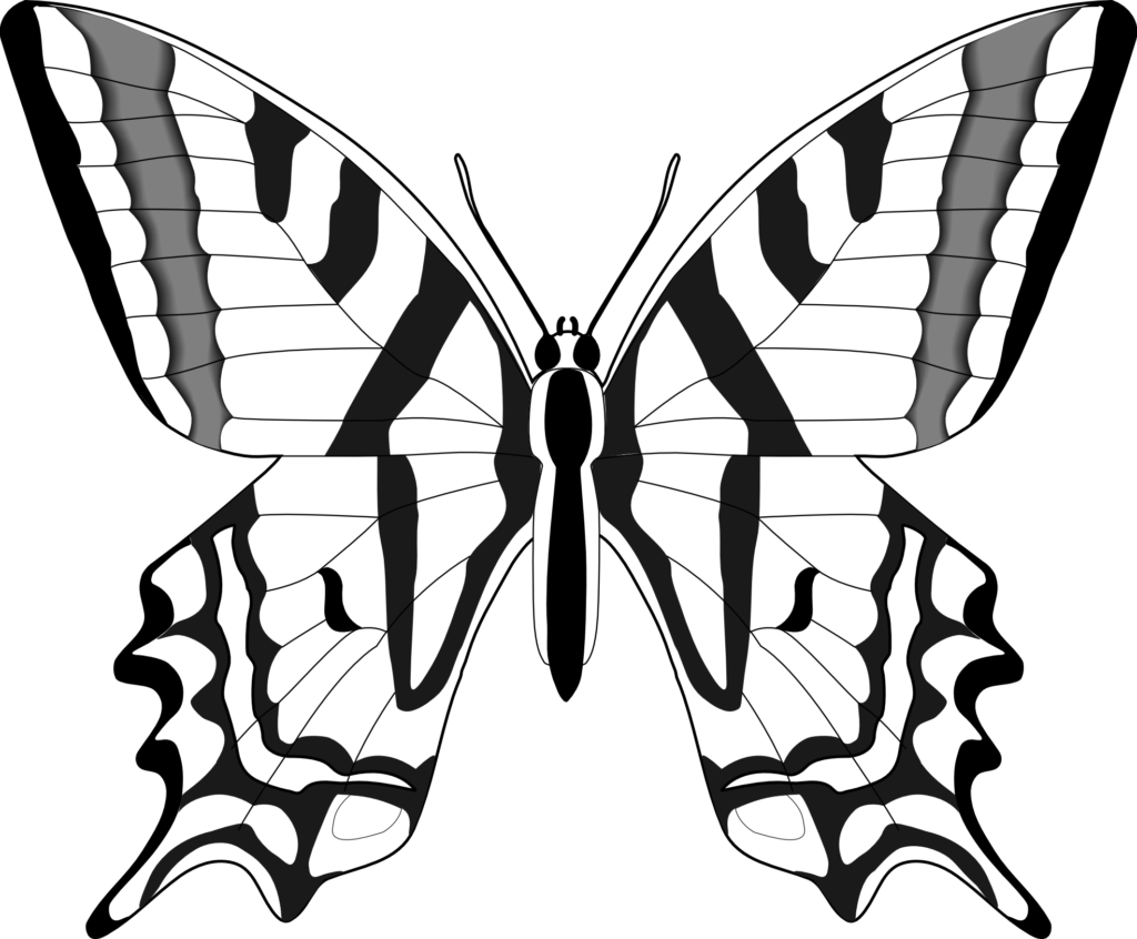 Butterfly Black And White Butterfly Clip Art Black - Butterflies In Black And White (1024x846)