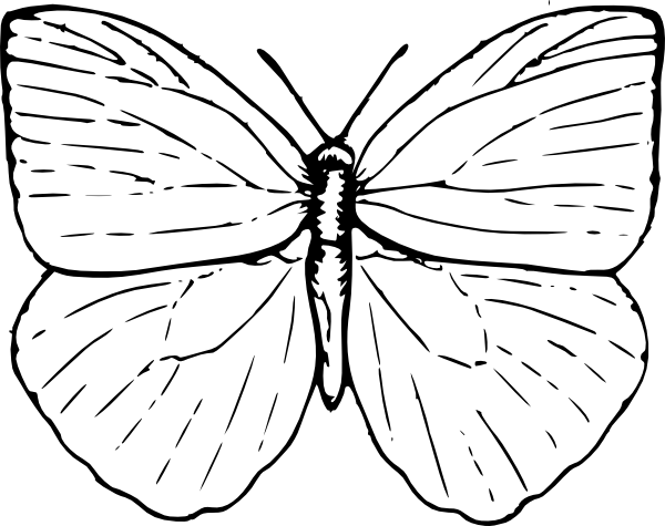 Cute Butterfly Outline Clip Art - Butterfly Clip Art (600x475)