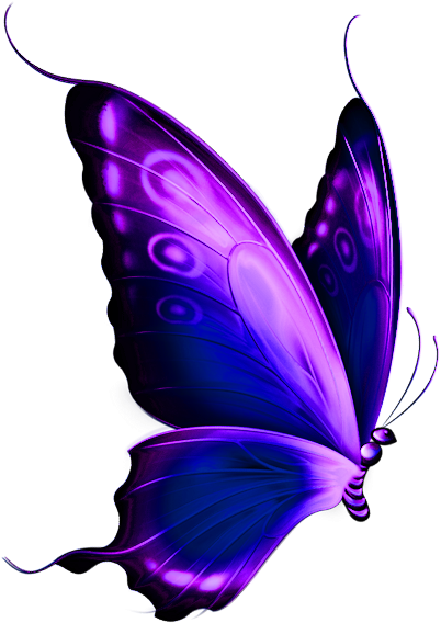 Purple Butterfly Clipart Free Clip Art Library - Purple And Blue Butterfly (480x648)
