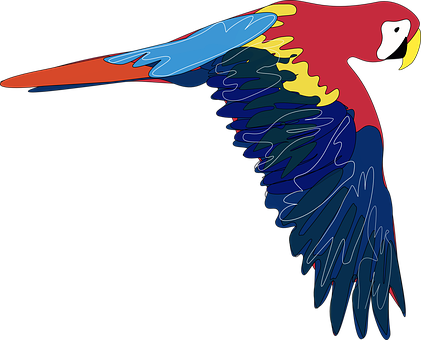Parrot Bird Fly Wings Pretty Colorful Trop - Parrot Clip Art (421x340)