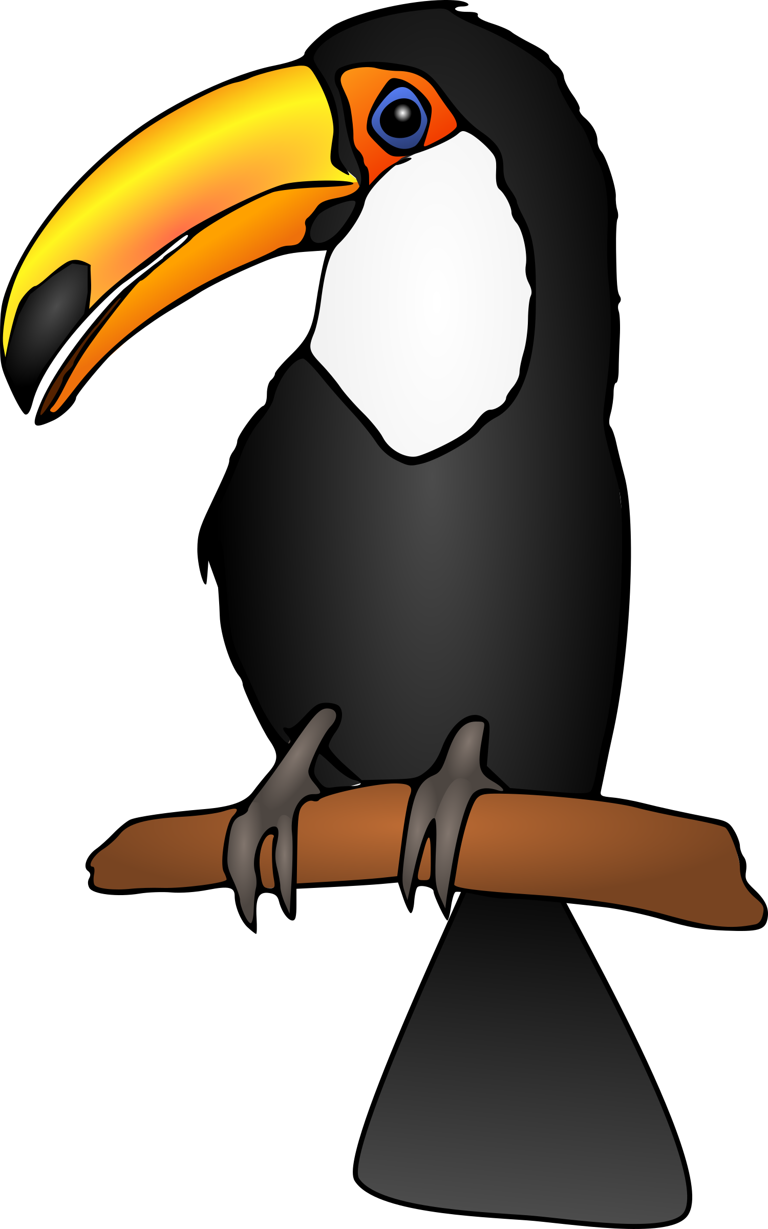Toucan Clipart Black And White - Toucan Clipart (1500x2400)
