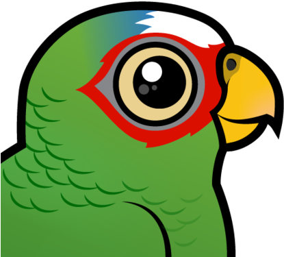 About The White-fronted Parrot - Red Headed Conure Cartoon (440x440)