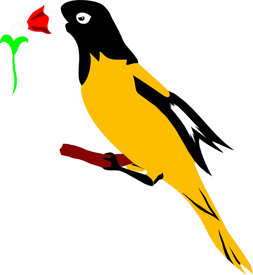 Oriole Bird Clipart - Oriole Bird Clipart (958x1039)