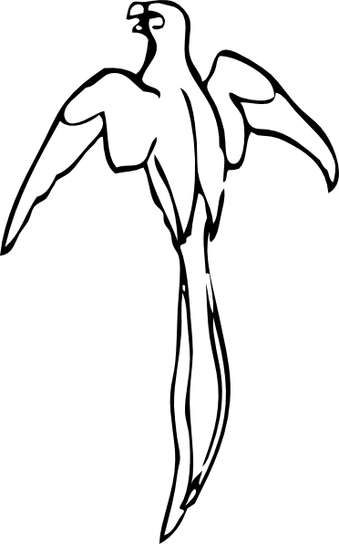 Flying Parrot Png Clip Art - Outline Of A Parrot (468x750)