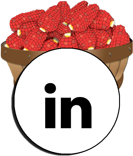 Connect With Us - Wine Raspberry (499x534)