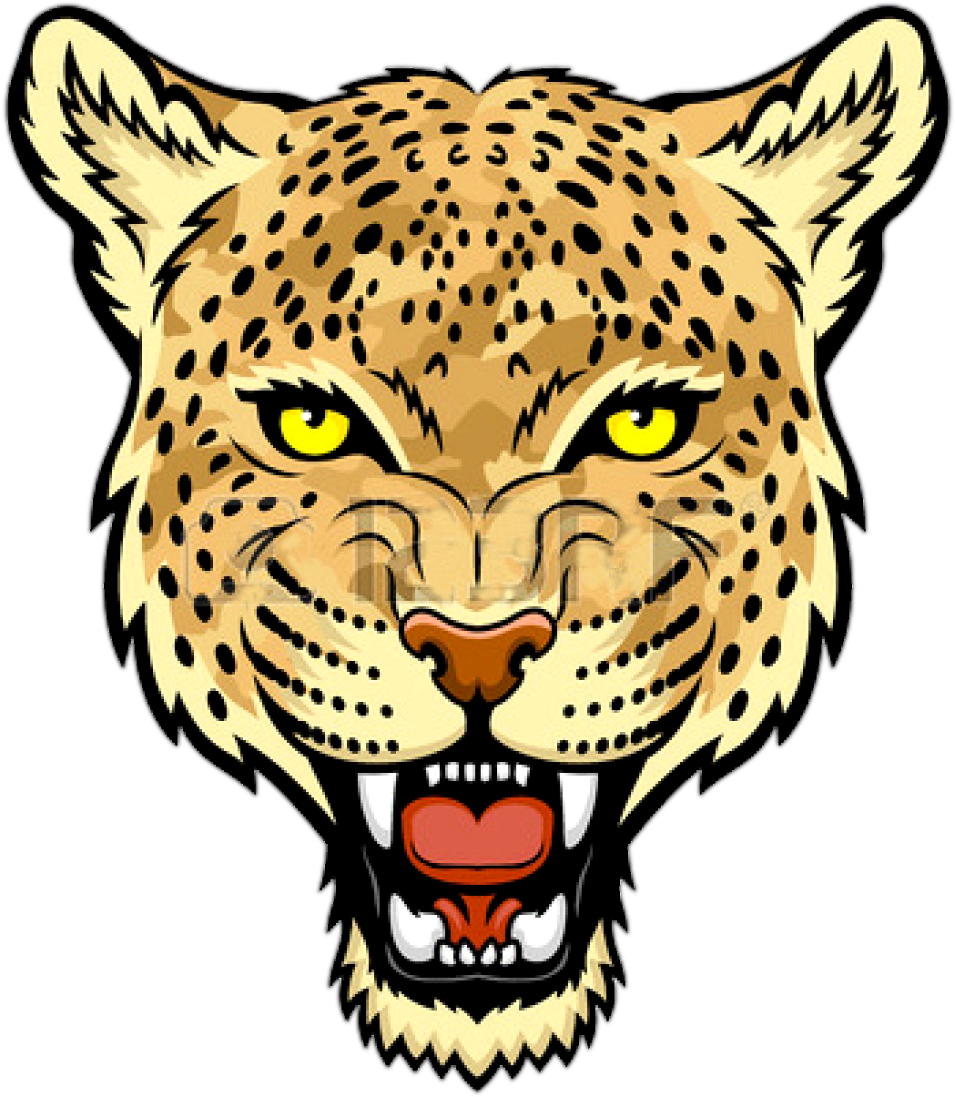 Amur Leopard Jaguar Felidae Snow Leopard Clip Art - Snow Leopard Logo (1350x1350)