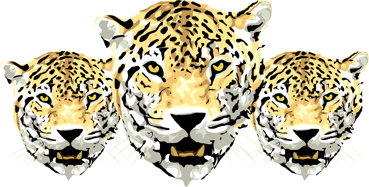 Jaguar Amur Leopard Cheetah Clip Art - Jaguar Cartoon (1280x651)