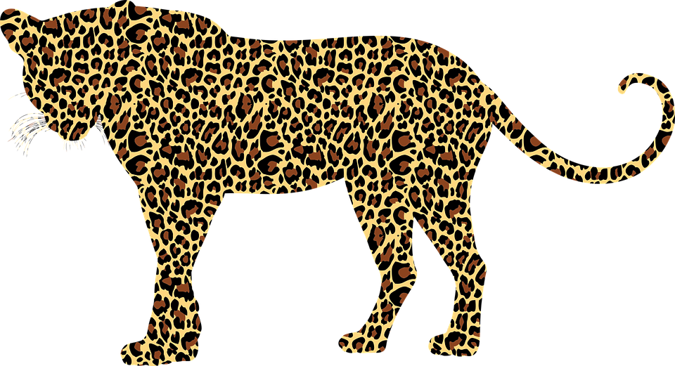Leopard, Big Cat, Feline, Animal - Leopard Icon (960x521)
