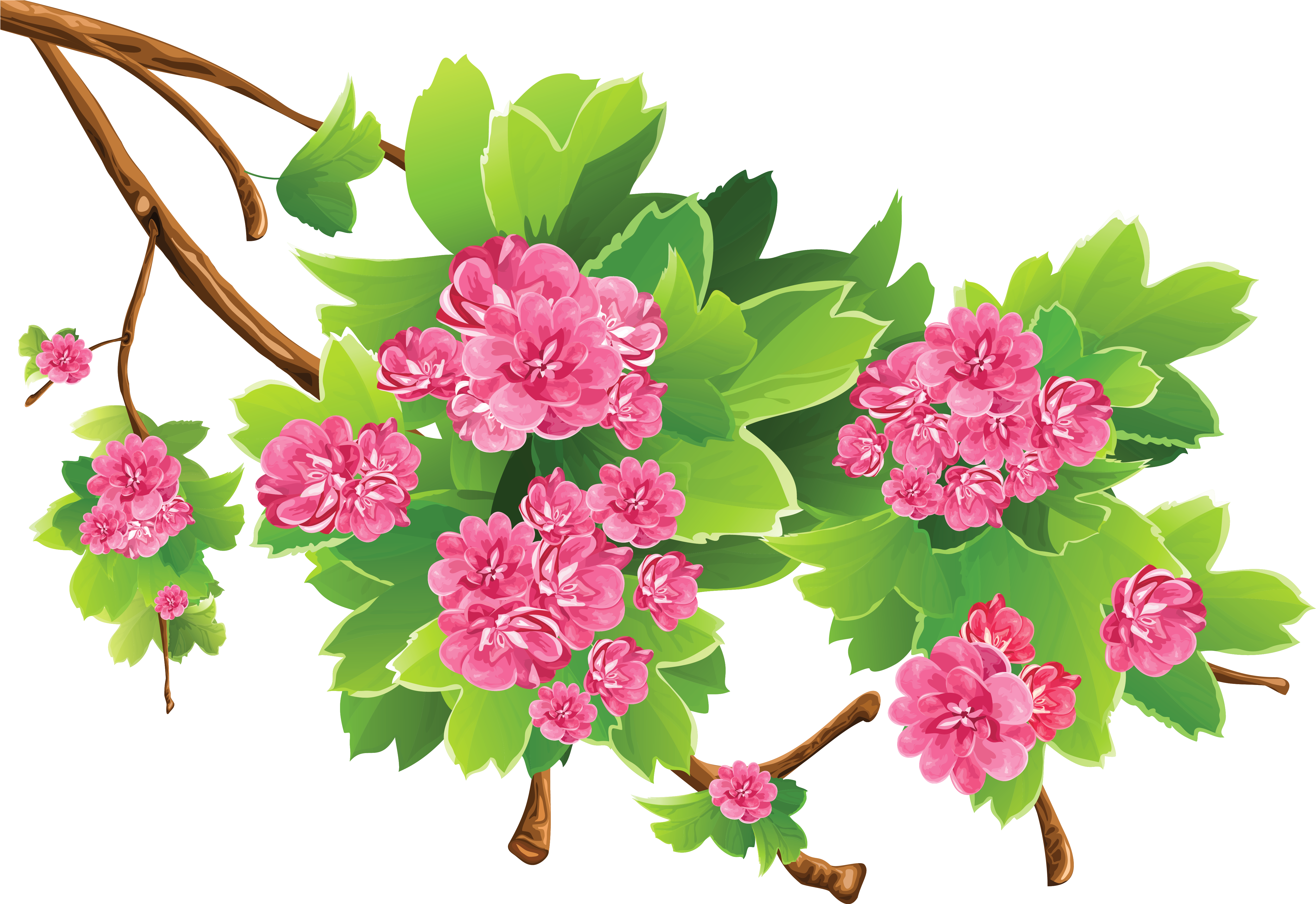 Spring Branch Transparent Png Clipart Picture - Transparent Png Clipart Spring Flower Png (5419x3618)