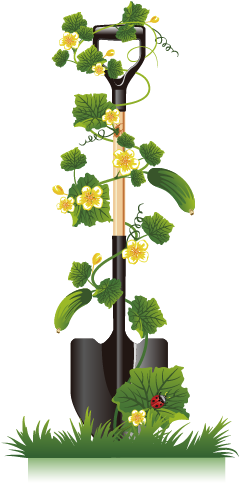 Cucumber Vine Clip Art - Aihitech Solar Automatic Watering Flowers System With (709x568)
