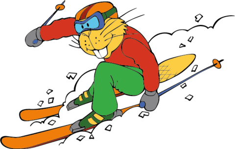 In Our Ski School, Skiing Enjoyment And Movement In - Skier Stops (480x304)