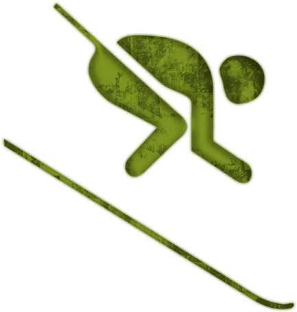 Downhill Skiing Icon 045214 &187 Icons Etc - Alpine Skiing (512x512)