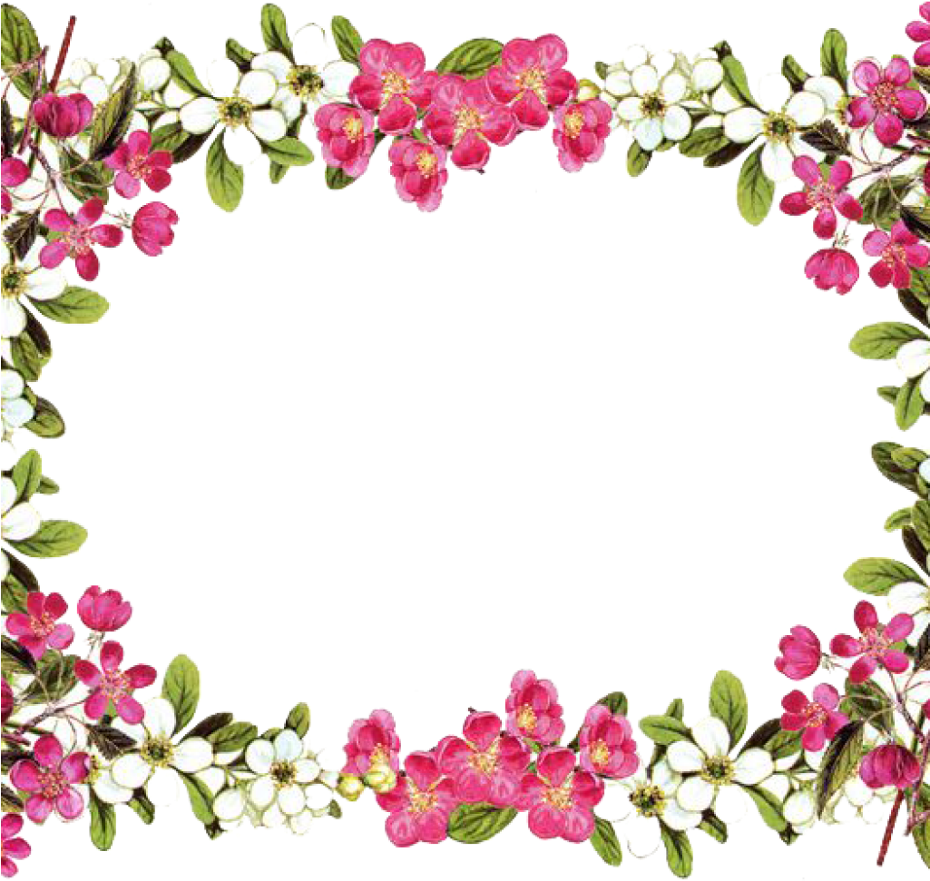 Flower Border Clipart Download Flowers Borders Free - Floral Borders And Frames (1024x1024)